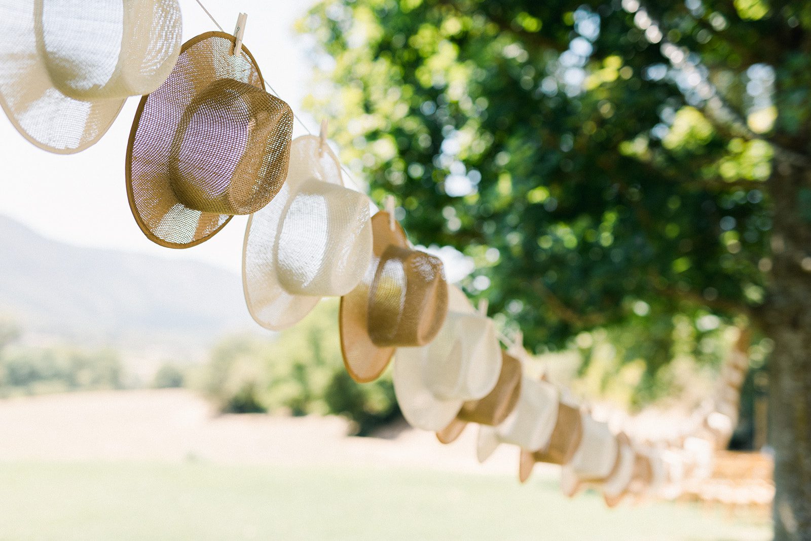Mariage Olivia & Alexandre